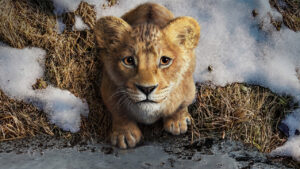 a young Mufasa, standing next to a pile of snow for Mufasa: The Lion King